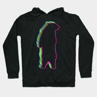 Bear 80s Neon Hoodie